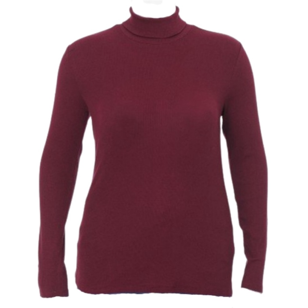 AMBIANCE, Burgundy, Long Sleeve Turtleneck, Sizes 1X-3X